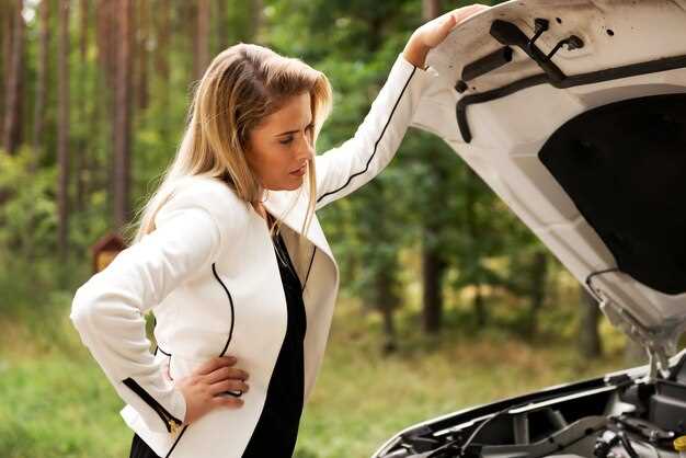 Шумоизоляция и климат-контроль