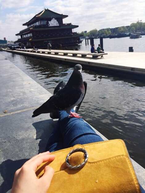 Чек-лист перед поездкой: что проверить в постах и как спланировать визит