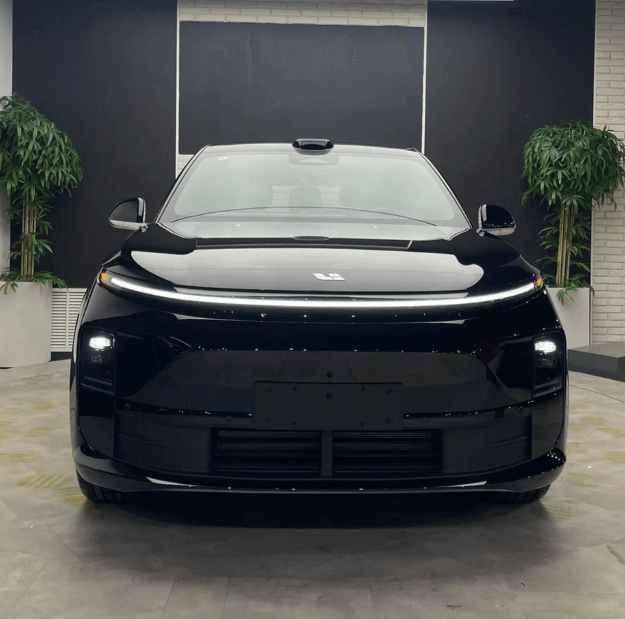 LiXiang L6