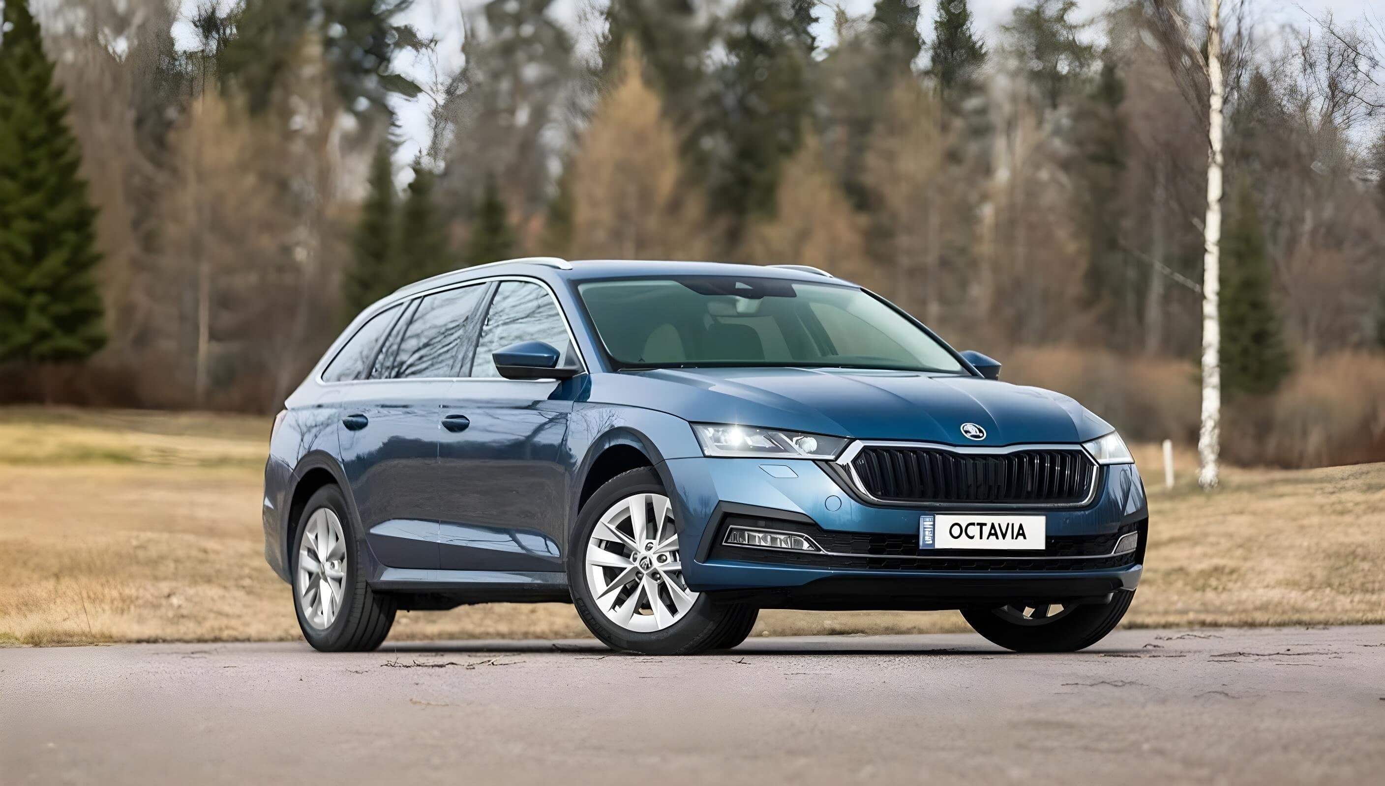 Skoda Octavia или Mazda 6: выбираем для дальних поездок